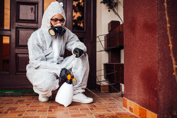 Reliable Mosquito Control contractor in White Settlement, TX by Show Me Pest Control