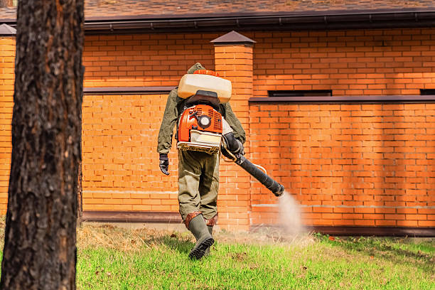 Top rated local Mosquito Control specialists in White Settlement, TX